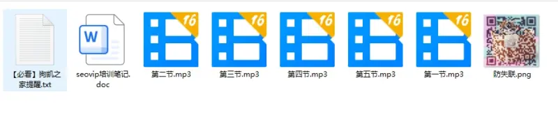 VIP课程-SEO优化教程-翼颢源码网